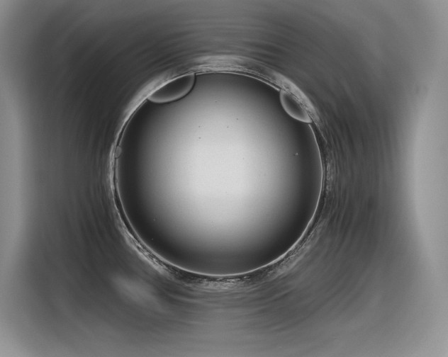 X0000116391386200912021531