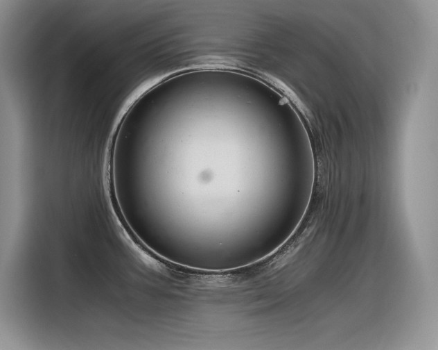 X0000116391387200912021531