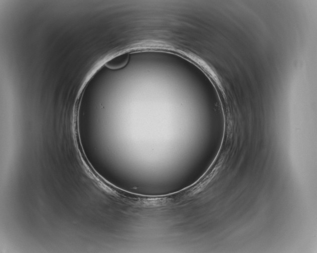 X0000116391390200912021531