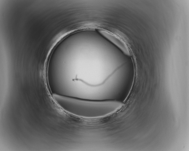 X0000116391392200912021531