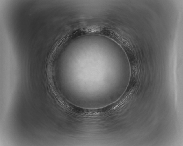 X0000116391393200912021530