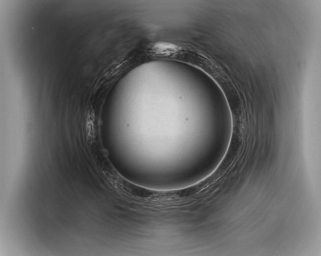 X0000116391394200912021530