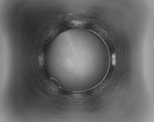 X0000116391395200912021530