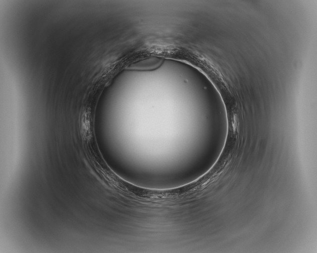 X0000116391396200912021530