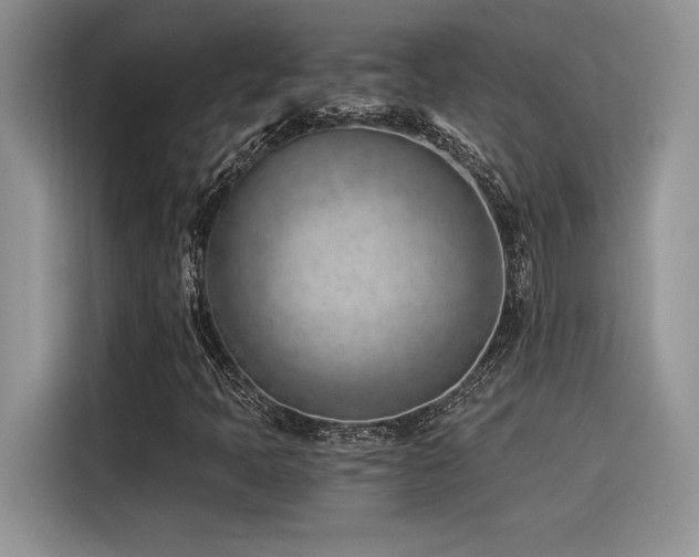 X0000116391397200912021530