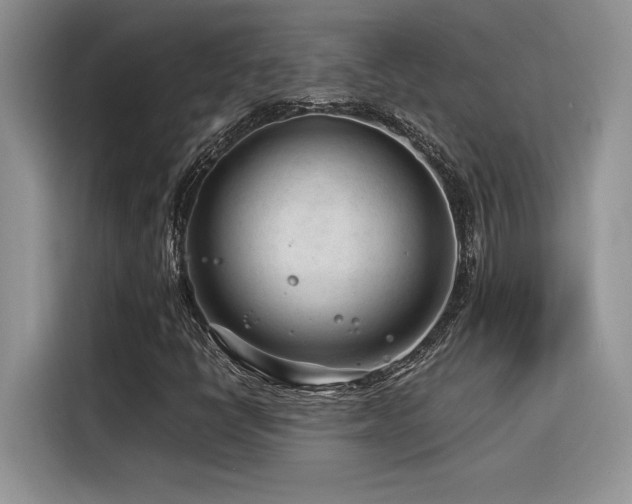 X0000116391398200912021530