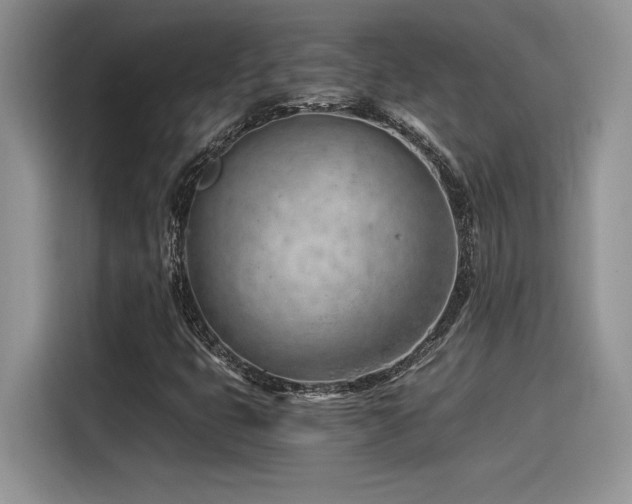 X0000116391399200912021530