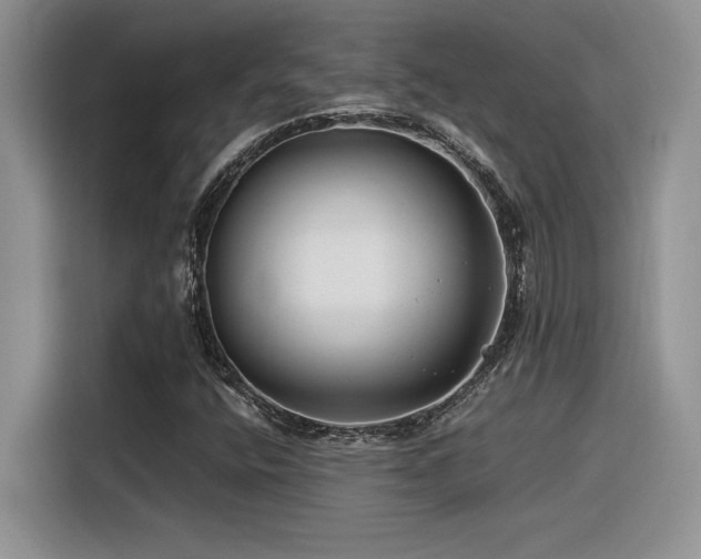 X0000116391400200912021530