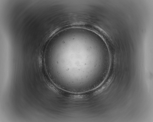 X0000116391401200912021530