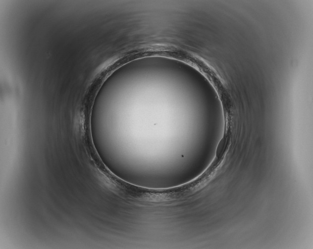 X0000116391402200912021530