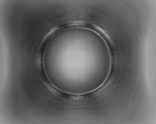 X0000116391403200912021530