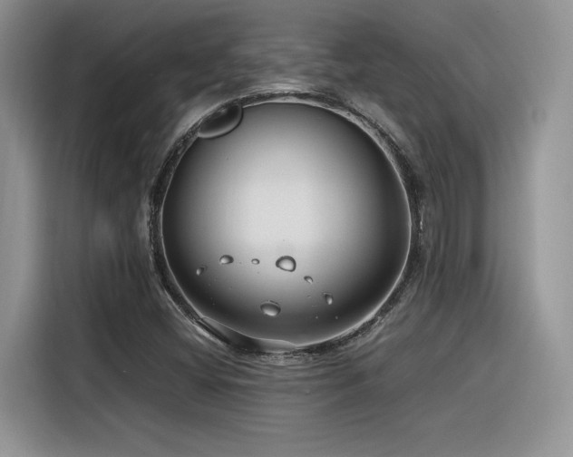 X0000116391404200912021530