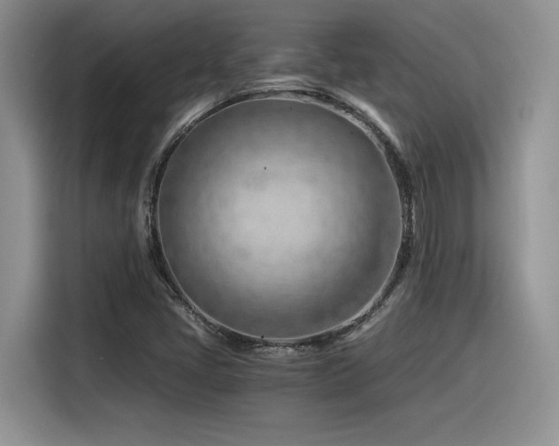 X0000116391405200912021530