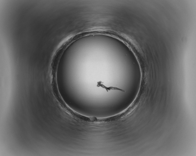 X0000116391406200912021530
