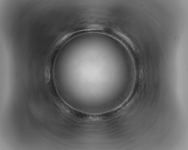 X0000116391407200912021530