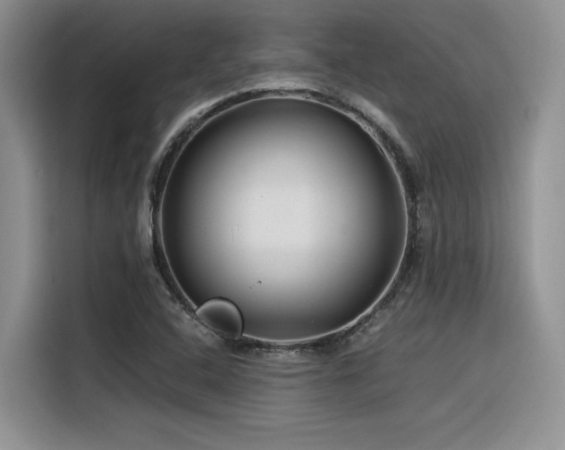 X0000116391408200912021530