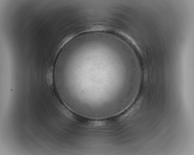 X0000116391409200912021530
