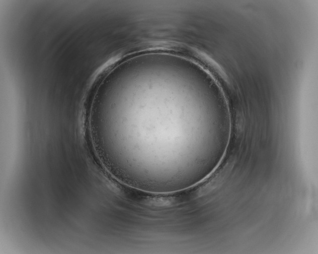 X0000116391411200912021530