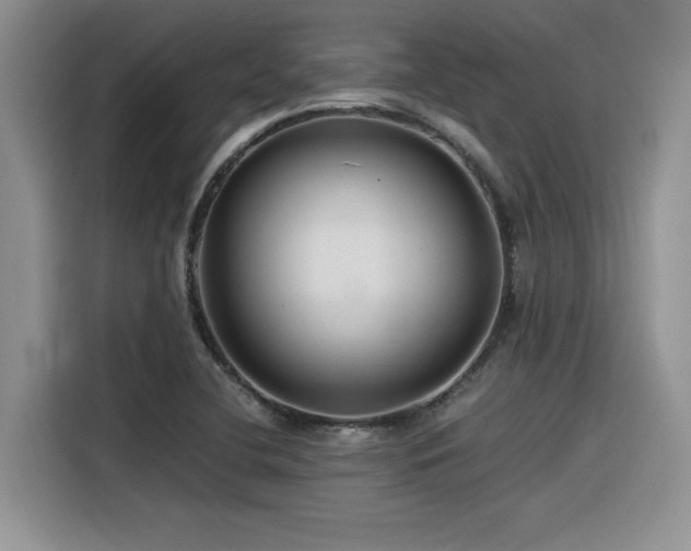 X0000116391412200912021530