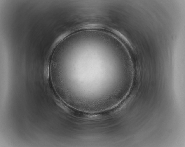 X0000116391413200912021530