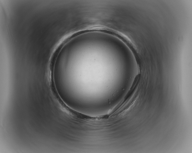 X0000116391414200912021530