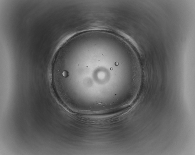 X0000116391415200912021530