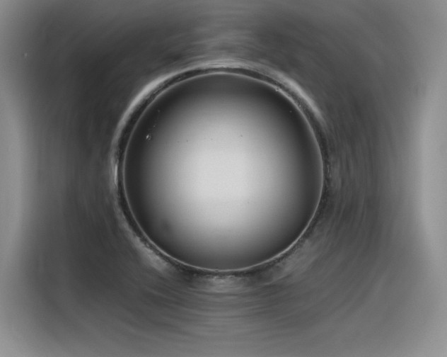 X0000116391416200912021530