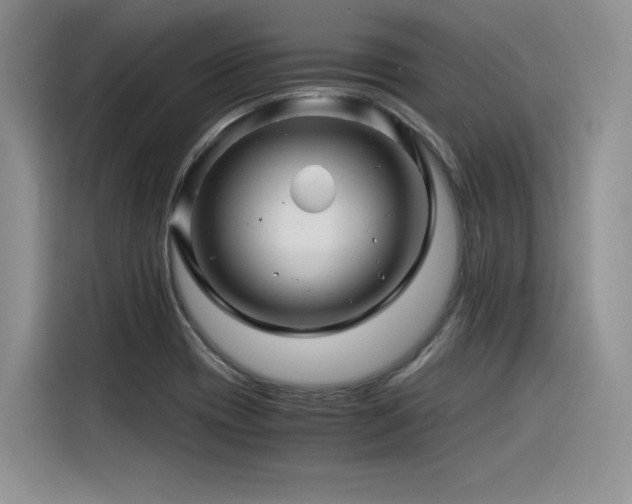 X0000116391417200912021530