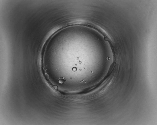 X0000116391418200912021530
