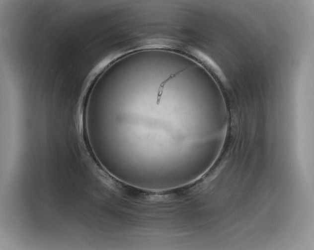 X0000116391419200912021530