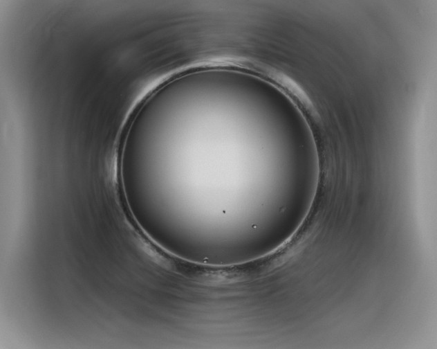 X0000116391420200912021530