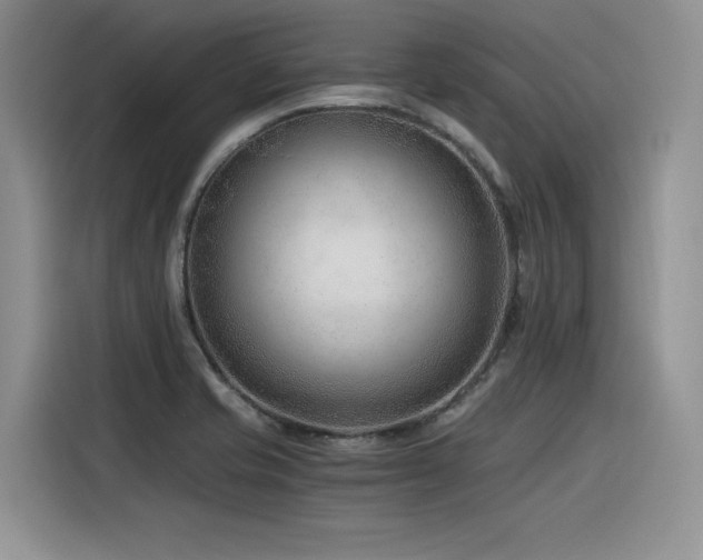 X0000116391421200912021530
