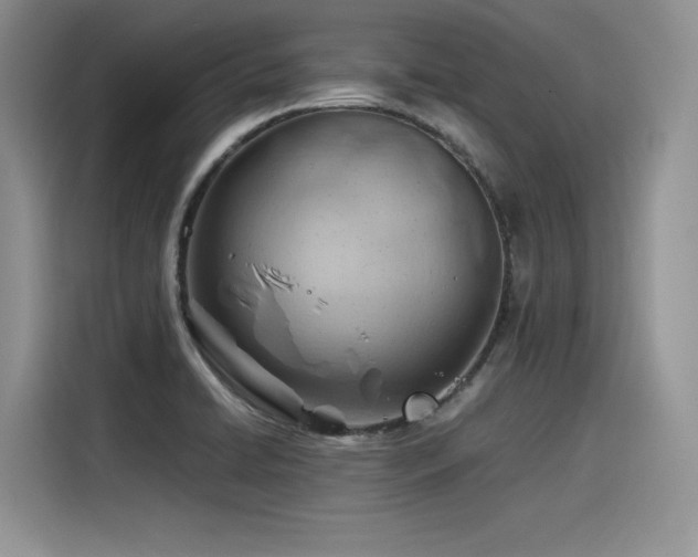 X0000116391422200912021530