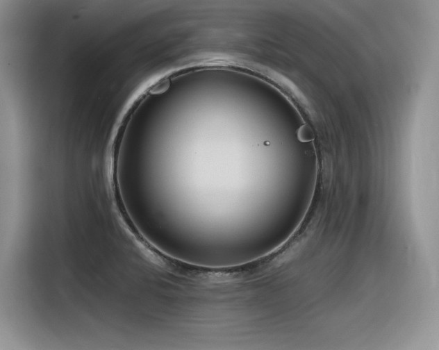 X0000116391424200912021530