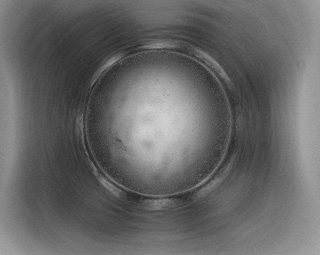 X0000116391425200912021531