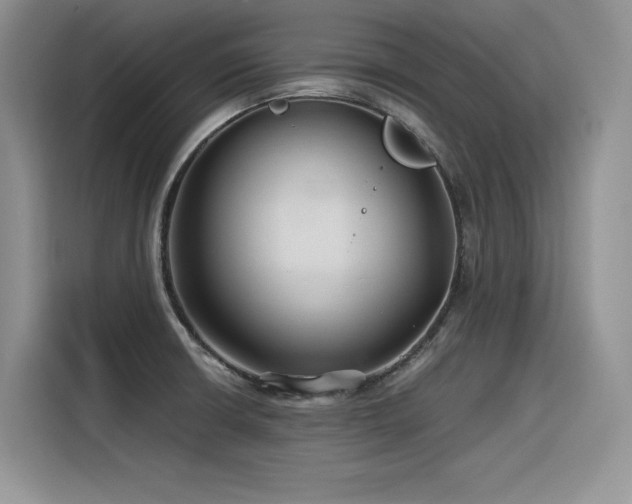 X0000116391426200912021531