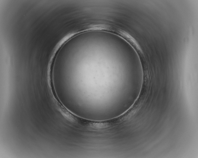 X0000116391427200912021531