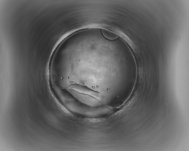 X0000116391428200912021531