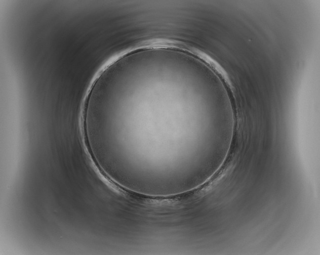 X0000116391429200912021531