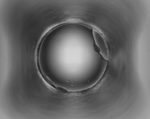 X0000116391430200912021531