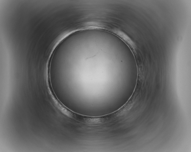 X0000116391431200912021531
