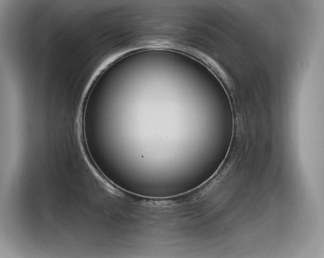 X0000116391432200912021531