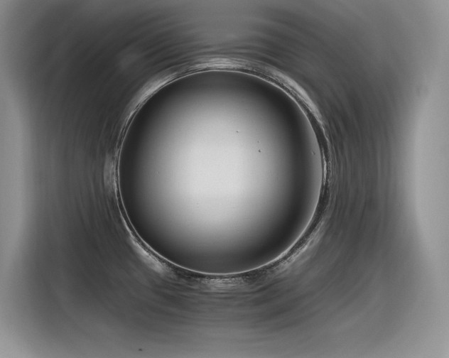 X0000116391433200912021531