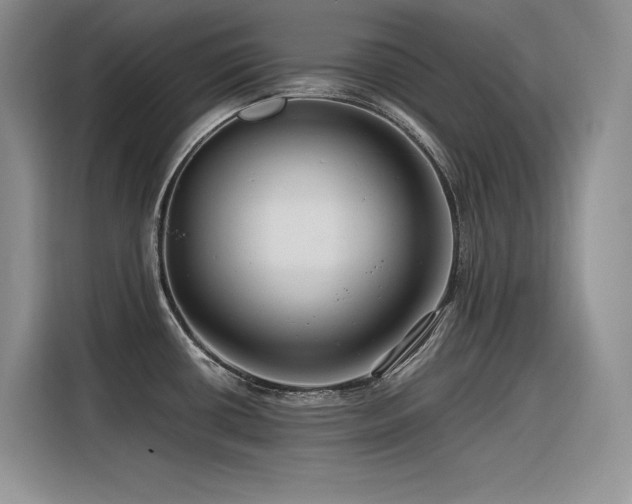 X0000116391434200912021531