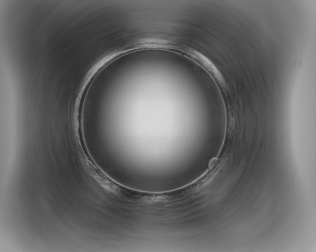 X0000116391435200912021531