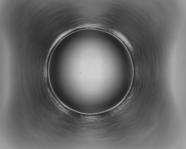 X0000116391436200912021531