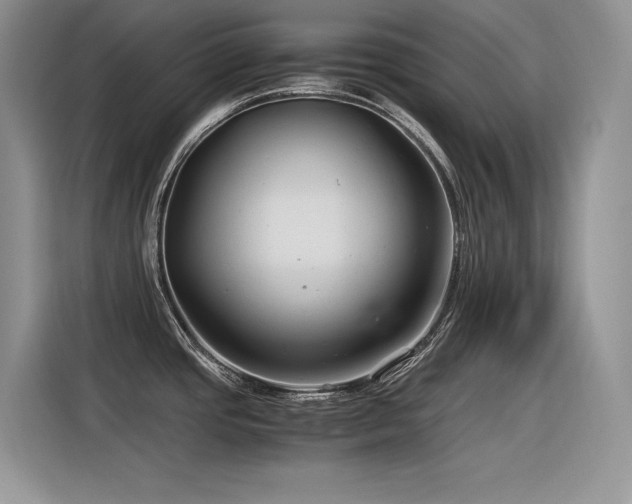 X0000116391437200912021531