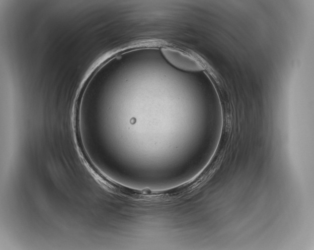 X0000116391438200912021531