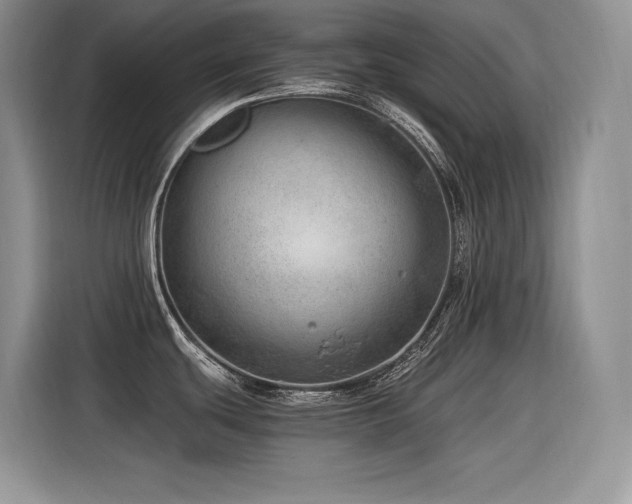 X0000116391439200912021531