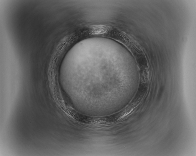 X0000116391441200912021530